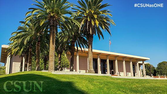 University Library Zoom Background with Palm Trees from side