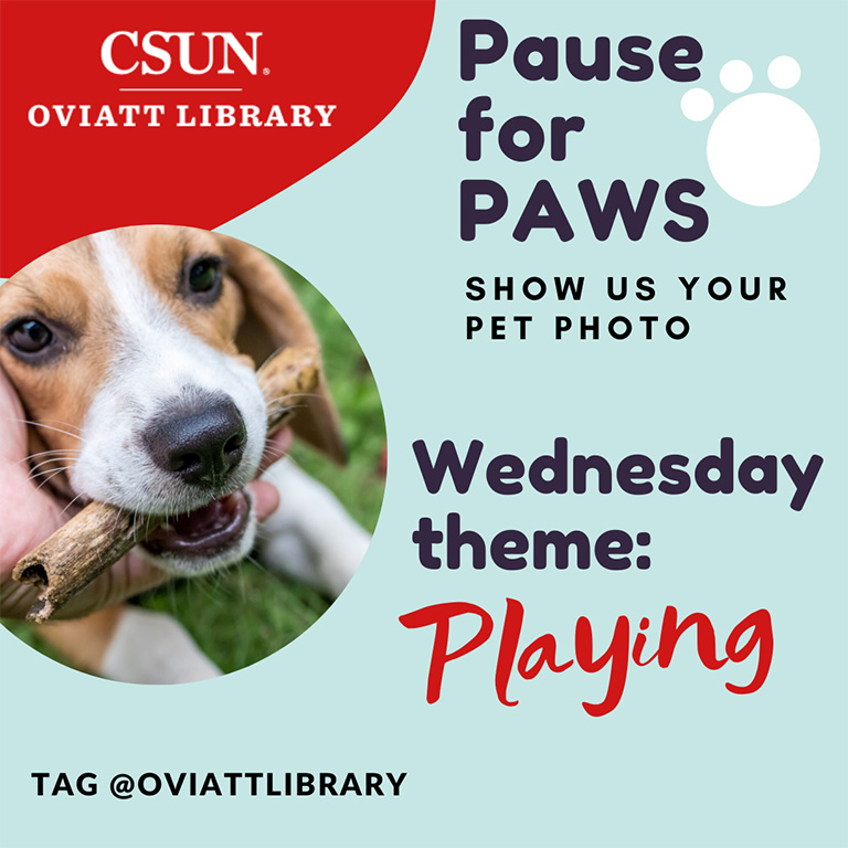 Pause for paws, show us your pet photos, wednesday, playing