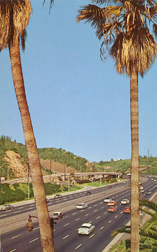 Daytime view of freeway with cars moving; palm trees in foreground