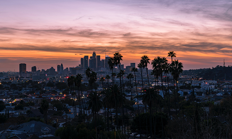 Landscape of LA